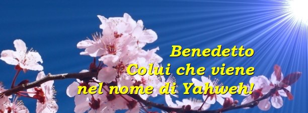 Yahweh, cercatelo con tutto il cuore