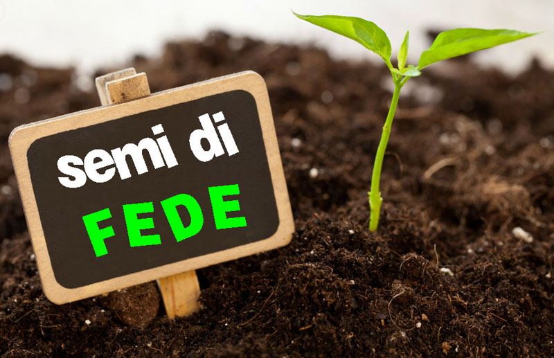 Il seme della fede